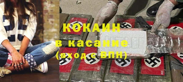 винт Алзамай