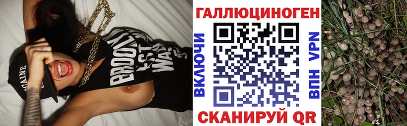 Псилоцибиновые грибы GOLDEN TEACHER  Купить закладки  Полтавская 